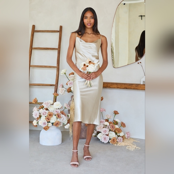Birdy Grey Dresses & Skirts - Birdy Grey Liza Dress Shiny Satin Neutral Champagne Medium